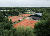 Vereniging bomen overizicht