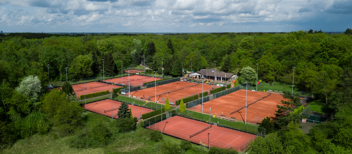 Grote vereniging groen bos